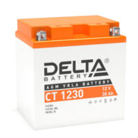 delta ct 1230 12V 30ah 200x200 - Аккумулятор Delta СТ 1230 12В 30Ач 300CCA 168x126x175 мм Обратная (-+) (YIX30L, YIX30L-BS, YB30L-B)